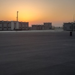 combat for no reason