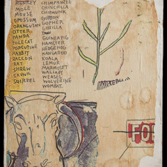 i know places ((lykke li cover))