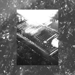 Beginnings (a Body)