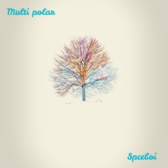 Spceboi - Multi Polar (EDR 11)