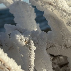 Drake - Passionfruit (Cover) - UMI