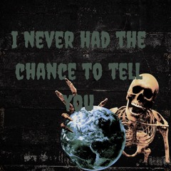 I Never Had The Chance To Tell You