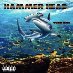 TDripp - HammerHead *FAST*