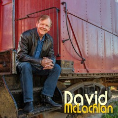 David McLachlan - When the Fuzzies Kick In