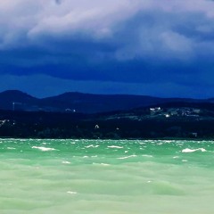 monkeymaffia -Hard Country