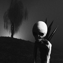 NO zZz’s (prod.zf1)