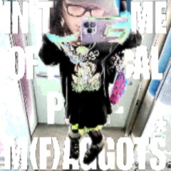 IN THE NAME OF MAGICAL POST-M(F)AGGOTS