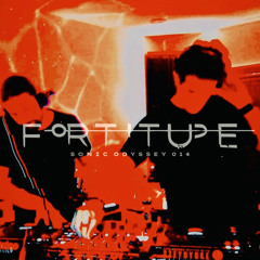 Sonic Odyssey 014 [Hubryis vs Foresyte]