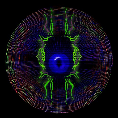 Synesis & Echoes - Morrowind