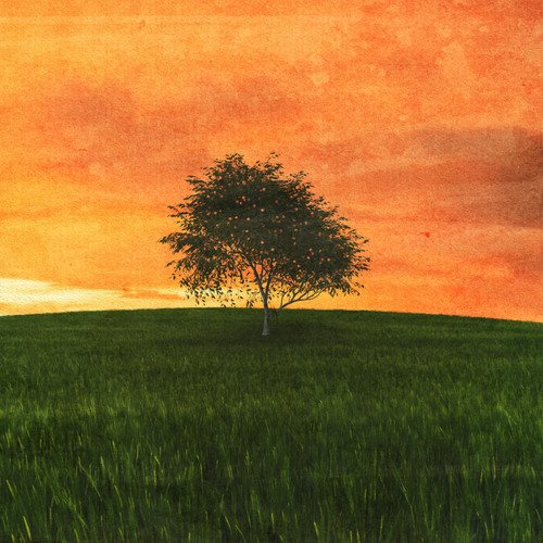 Something In The Orange