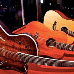 Passion for Guitars (playlist)