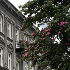 chờ đợi có đáng sợ