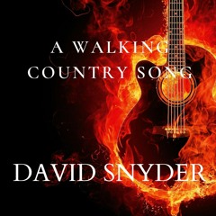 WALKING COUNTRY SONG