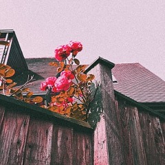 Growing Pains