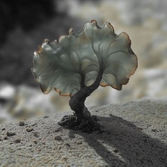 Justin Berkovi - Step Up (Ignez Remix)