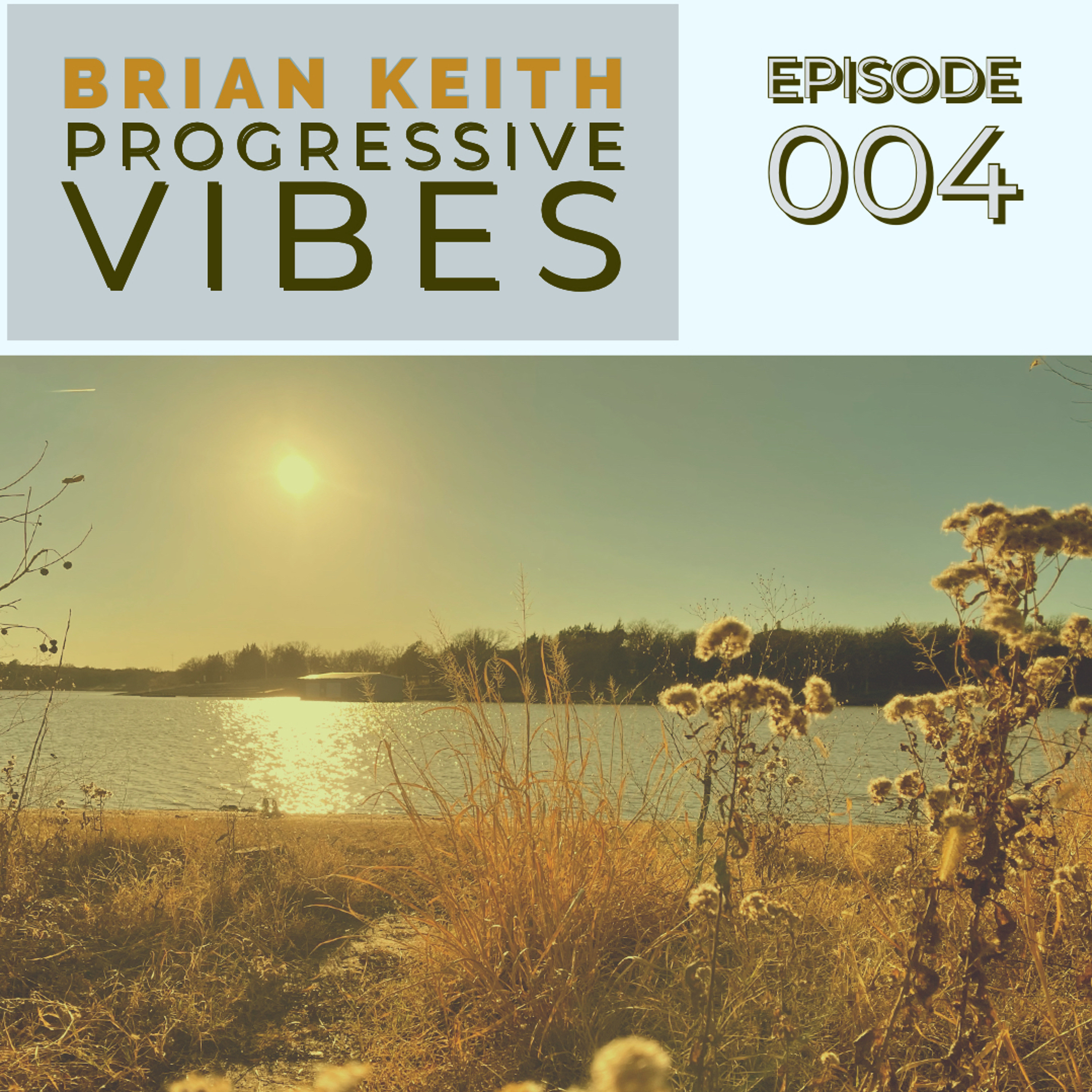 Brian Keith - Progressive Vibes