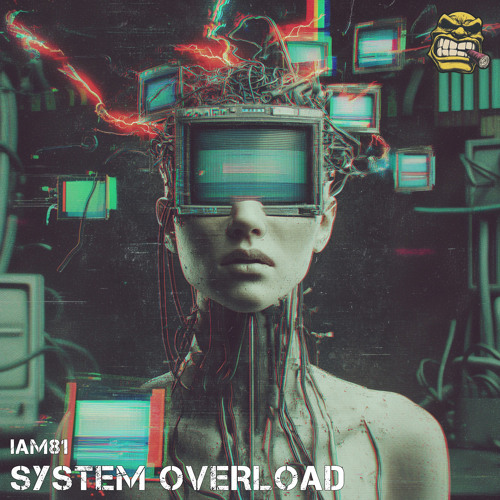 System Overload (Radio Edit)