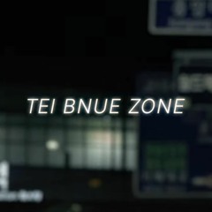 TEI BNUE ZONE - Inst