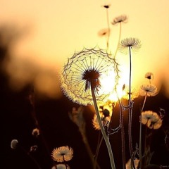 Neytan Welcome To My Mind (1).mp3