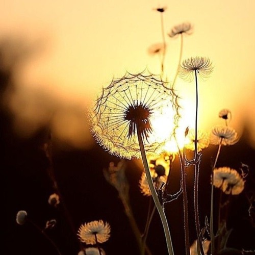 Neytan Welcome To My Mind (1).mp3