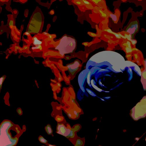 A Last Bloom (naviarhaiku515)