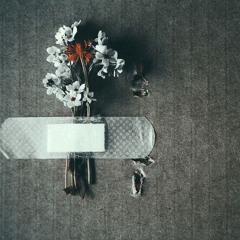 شكل الحب - من ترجمات ضيّ رحمي