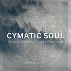 Cymatic Soul - Could You Show Me (Original MIX)