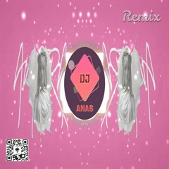 ويجز و آش - أميره Amira Remix DJ ANAS [No Drop]