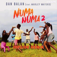Numa Numa 2 (Dipside  Remix) [Radio Edit]
