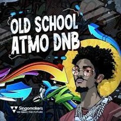 Liquid Drum And Bass Sessions 2020 Old School 90 S ATMOSPHERIC D NB