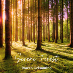Serene Forest