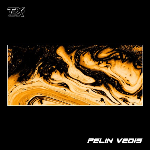 Podcast 005 | Pelin Vedis