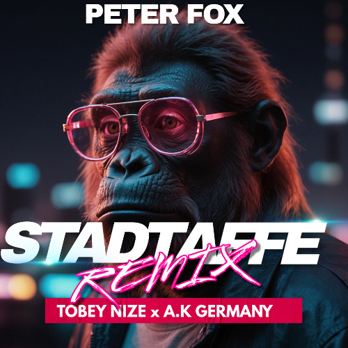 Peter Fox - Stadaffe (TOBEY NIZE x A.K GERMANY REMIX)