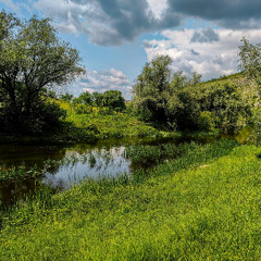 Riverbank