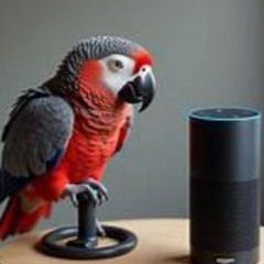 Wake Up, Alexa!