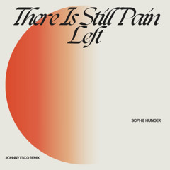 Sophie Hunger-There is Still Pain Left (Johnny Esco Remix)