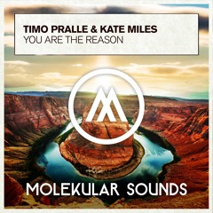 Timo Pralle & Kate Miles - You Are The Reason