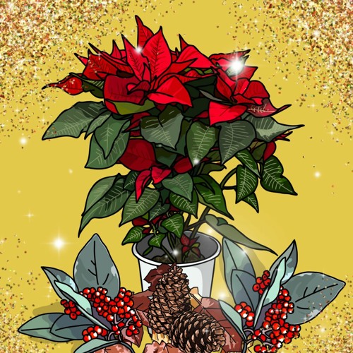 Stream Geistiges Wachstum Spiritual Growth Listen to Advent und