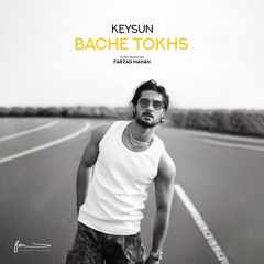 Bache Tokhs