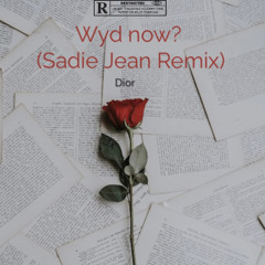 Wyd now (Sadie Jean Remix)  Prod. @HYZEANDLOWS