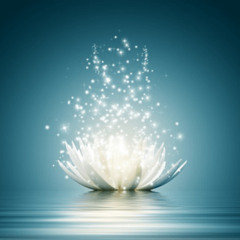 Meditação da Presença, vivendo a cada instante e 7 chacras