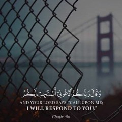 الشيخ عبد الله كامل - سورة غافر