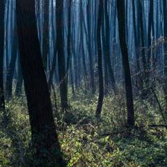 Bárdudvarnok, Somogy, Hungary