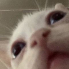 이 세상엔 말야,,