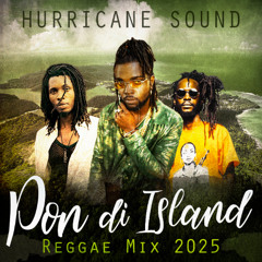 Pon Di Island Reggae Mix 2025