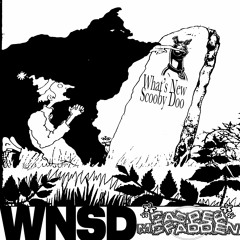 W.N.S.B.(outro theme ;))