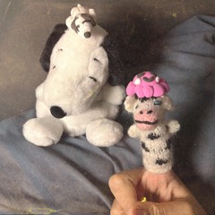 i don’t like how things change