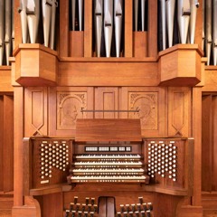 Organ Bass 3