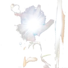 like doves w/ azie bug + donttrustlando