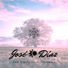 José Díaz - The House Music Adventure - Deep Organic House / Downtempo 260